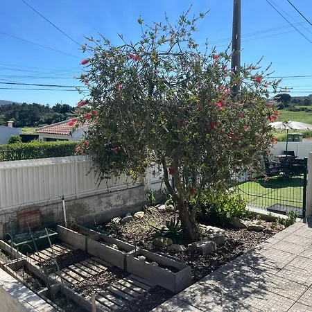 Casa Sao & Pompeia * 塞辛布拉